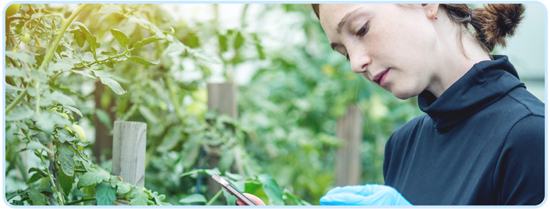 Agrarwissenschaften studieren