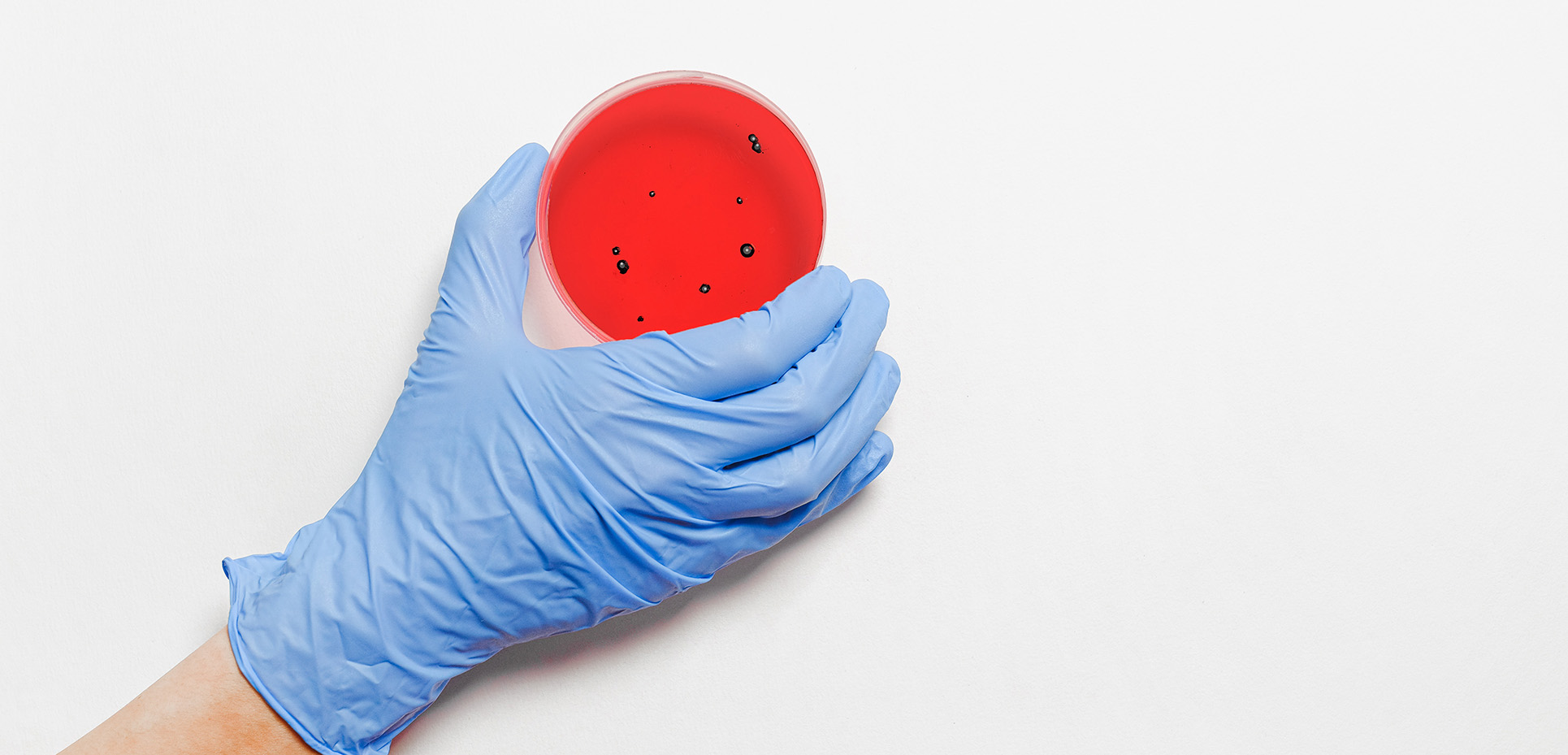 Medizin Karriere in der Forschung