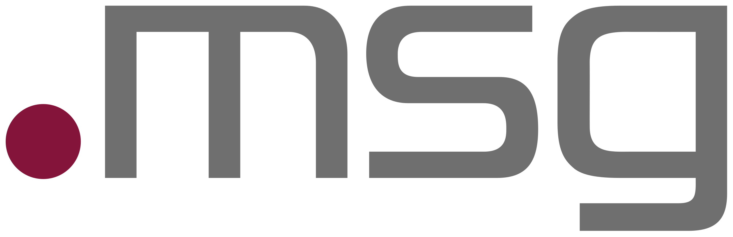 msg Logo