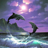 Anonymer Delphin  
