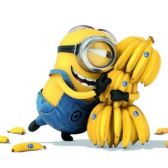 BWL Banane  