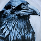 Raven  