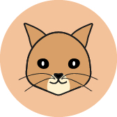 ida  