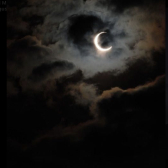 moonlight  