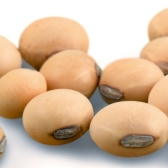 Sojaprotein 