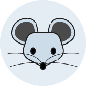 anonyme maus  