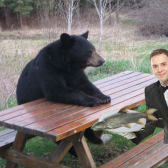 Barbelbär  