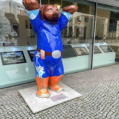Anonym Bär 🐻  