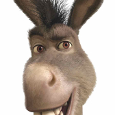 Donkey  
