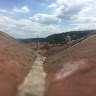 1004752.jpg