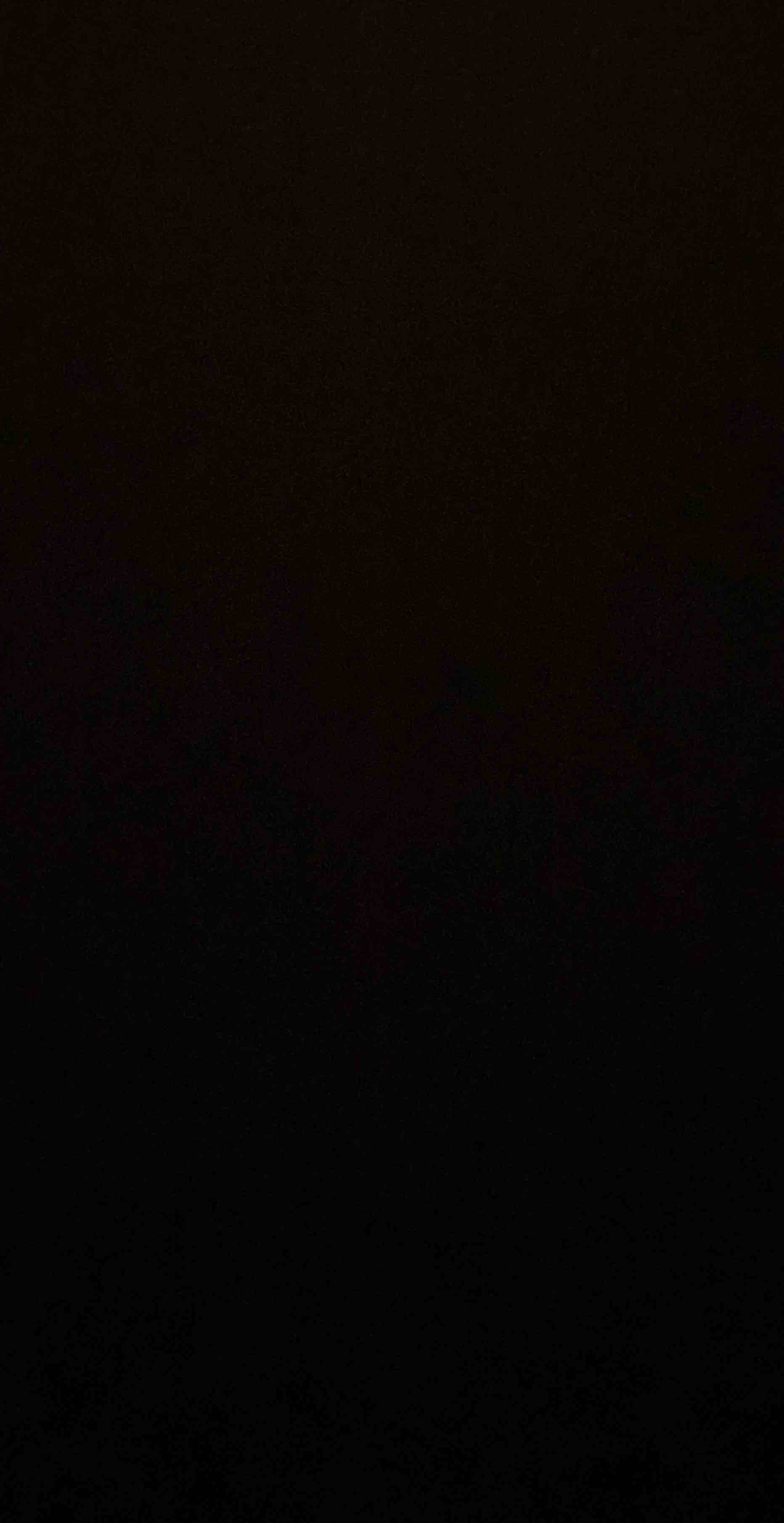 1934013.jpg