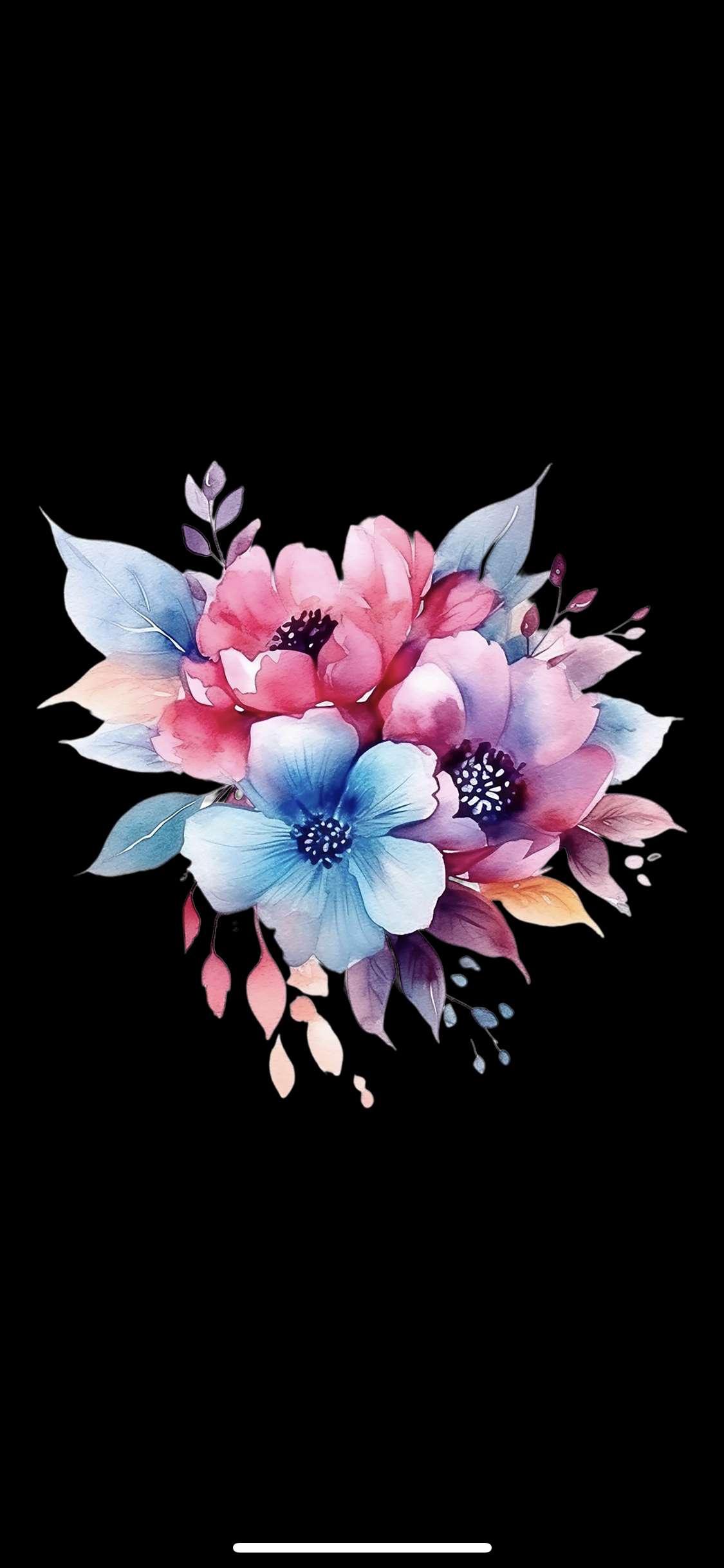 2509031.jpg