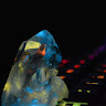 2531497.jpg