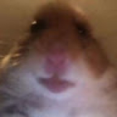 2619372.jpg