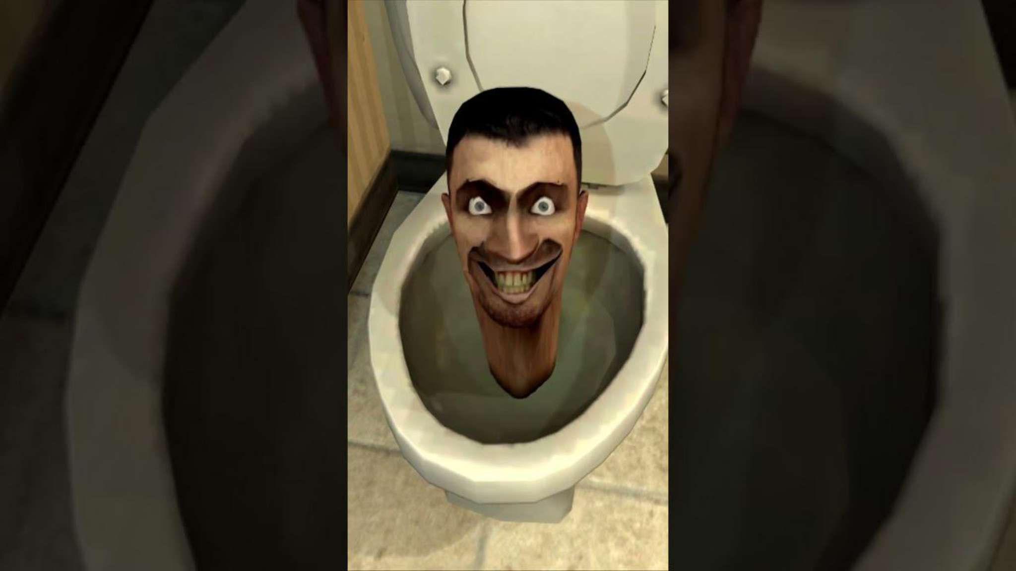 3297832.jpg