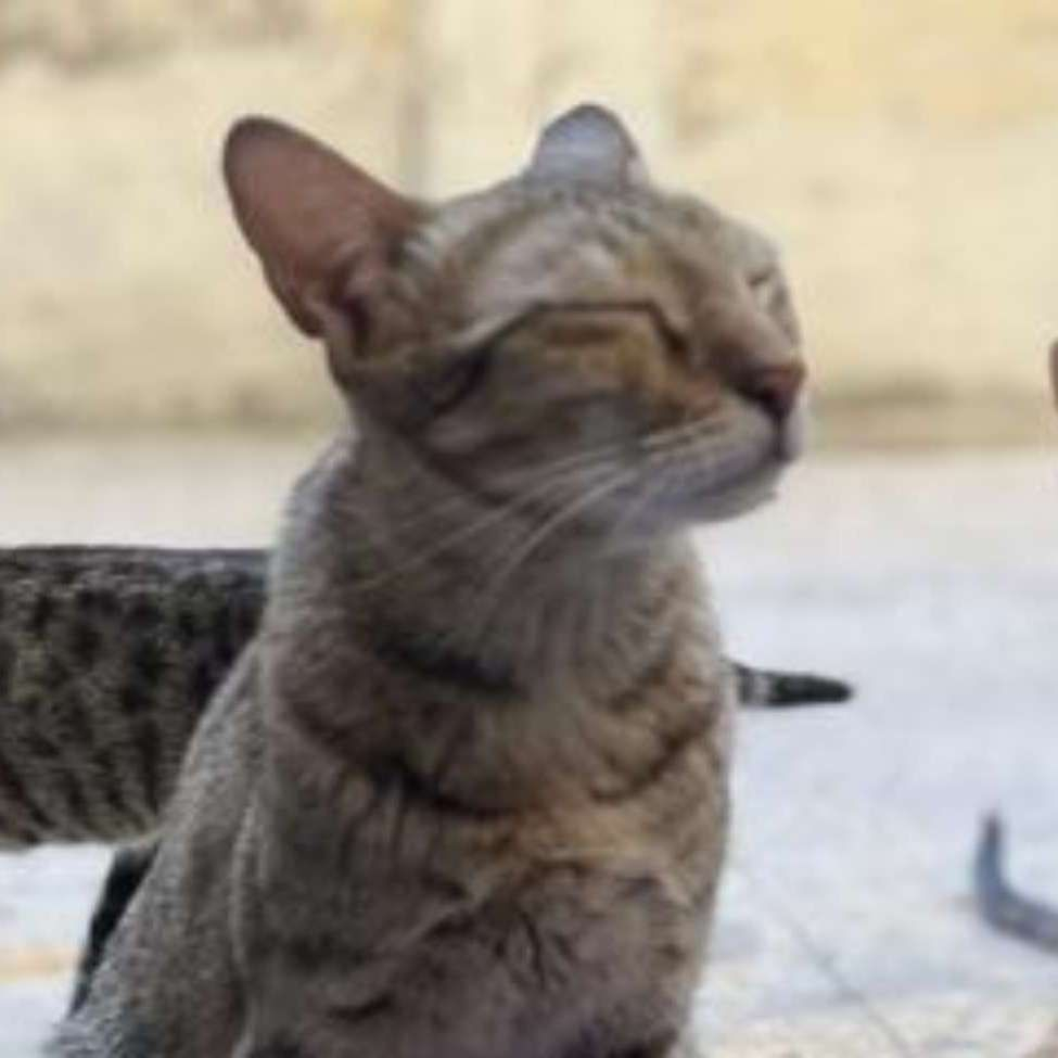 3429220.jpg