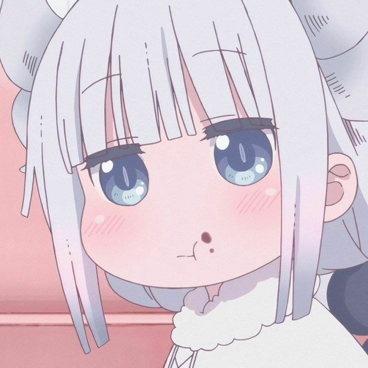 3908464.jpg