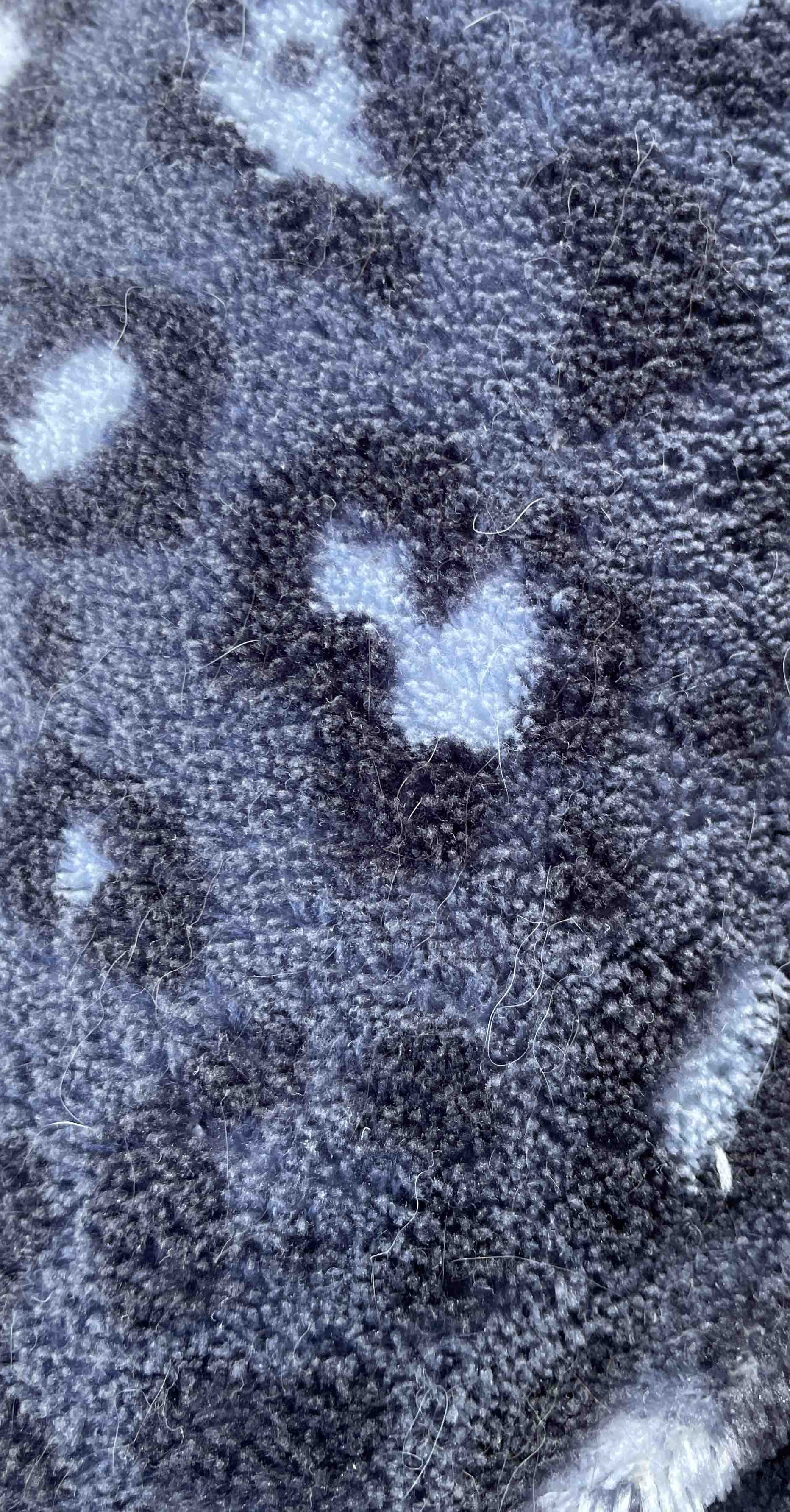 3978669.jpg
