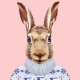 Anonymer Hase