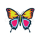 Anonymer Schmetterling 