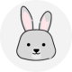 Hase  