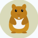 Anonymer Hamster  