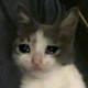 mental breakdown  
