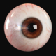 eyeball  