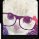 Anonyme Katze