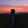 Anonymous S 