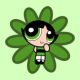 Buttercup  