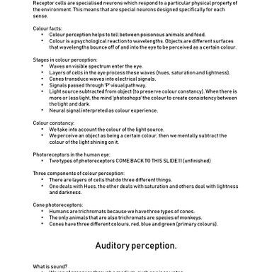 Dokument Visual and auditory perception .docx - Herunterladen