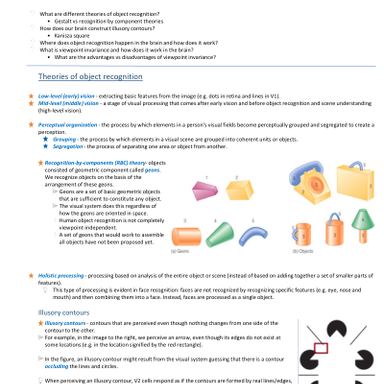 Dokument Task 5 - From visual shapes to objects.pdf - Herunterladen
