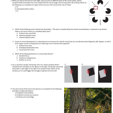 Dokument Exam questions for tasks 5 & 6 - Object recognition & Depth ...