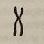 17801829726649a4741ed341.08186630php2W0IKs.jpg