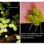 34458325166865befc952d9.32700531phpjOqZZ6.jpg
