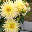 955793016a2a7c7968d417.19567474php2bU9ED.jpg