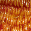 1493367254653019ee3656d1.53302763phptB6JII.png