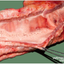 152734181265310819d8de22.95691853phpR2wTsp.png