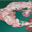 196724012865310b6c525f80.76397604phpmy5fcb.png