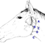 663812827656b579fdc5996.12675869phpnhrHK4.png