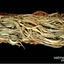 67460206865310ae0c81510.14319327php8iSkEG.png