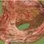 8217880516530196e312a16.89256520phpp3dy9R.png