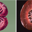 86852687665310b4969cad6.28265053phpvbaJq0.png