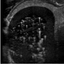 9779332276550dc22b619a1.68238124phpgi47bo.png