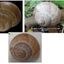 15152578036a22965762af00.33726712phpz5Duol.jpg
