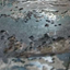 1025985326683bfe3cebd3d3.25891288phptvl9k8r7bpda1Opbftm.png