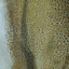 1041292227683c21afcdc131.14226343phpqbdtsno46agq92NXrgJ.png