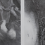 1054544761683c229a83e782.53481287phpb59m0d72imdo8L9lZYk.png