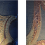 1149597009683c119f7a55a8.18440831php3se4fih6bdulfCaNSw2.png